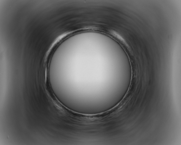 X0000087361323200704200817