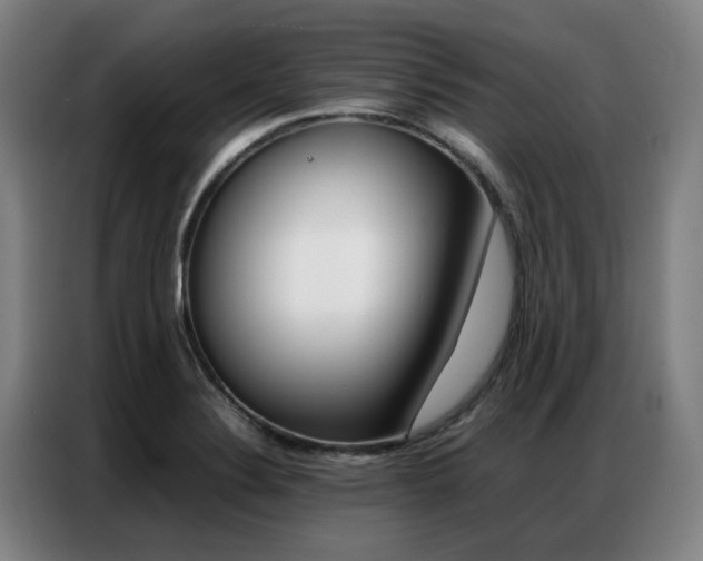 X0000087361324200704200817