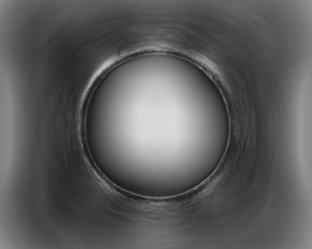 X0000087361326200704200817