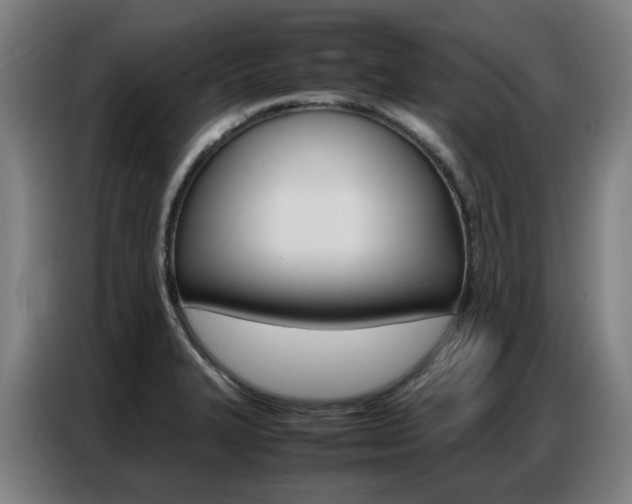X0000087361327200704200817
