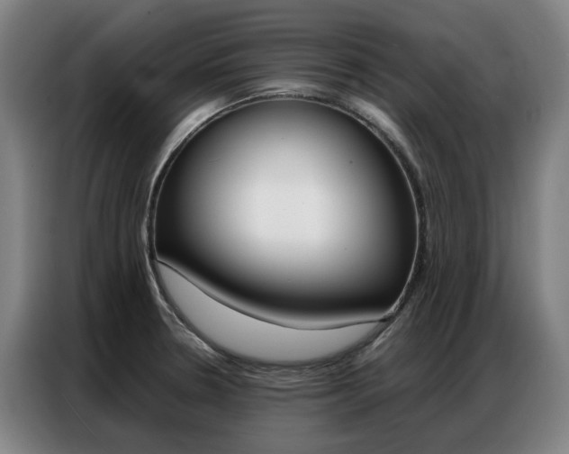 X0000087361330200704200817