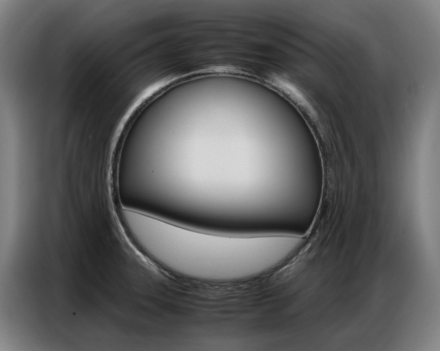 X0000087361331200704200817