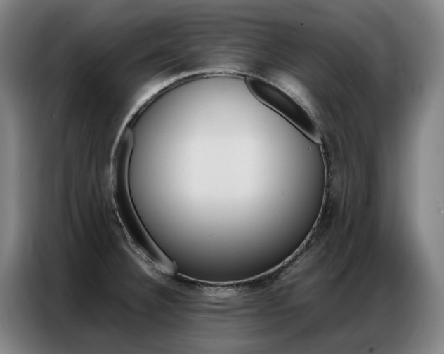 X0000087361332200704200817