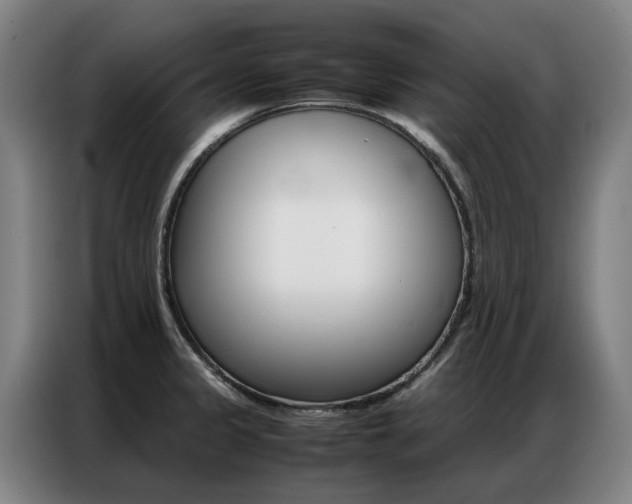 X0000087361333200704200817