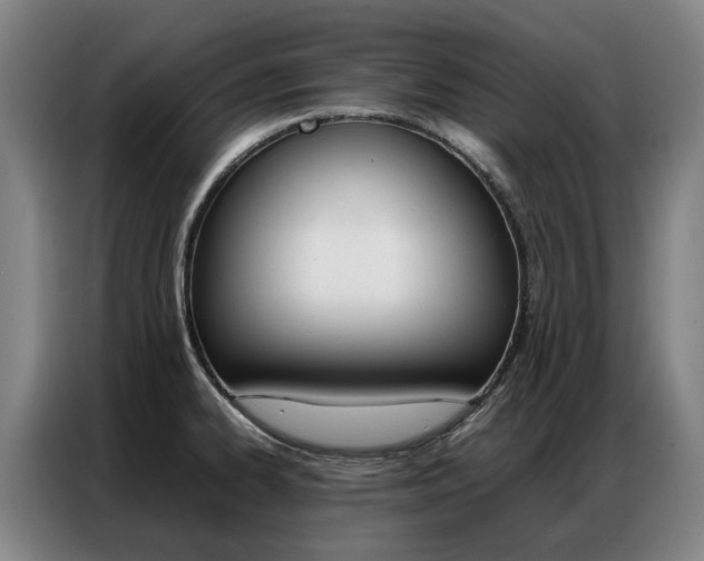 X0000087361334200704200817