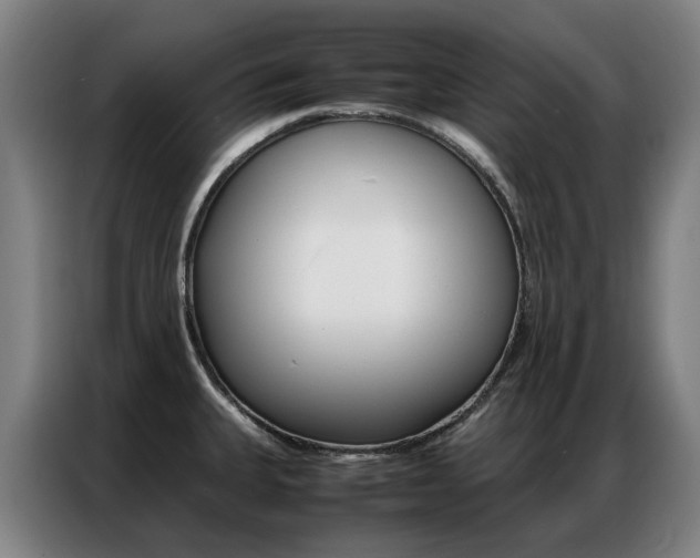 X0000087361335200704200817