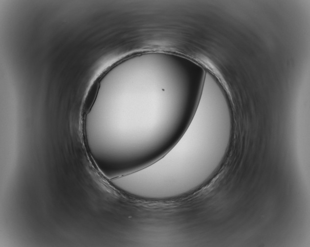 X0000087361336200704200817