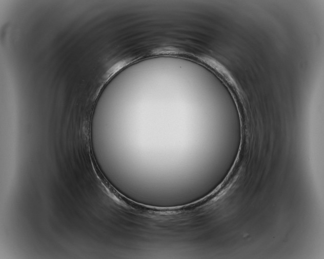 X0000087361337200704200817