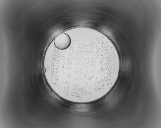 X0000087361338200704200818