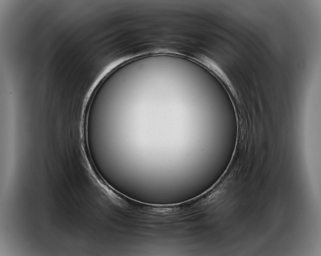 X0000087361339200704200818