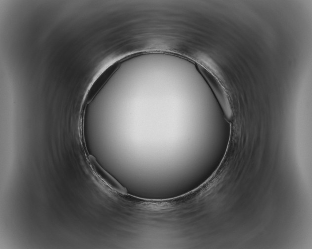 X0000087361340200704200818