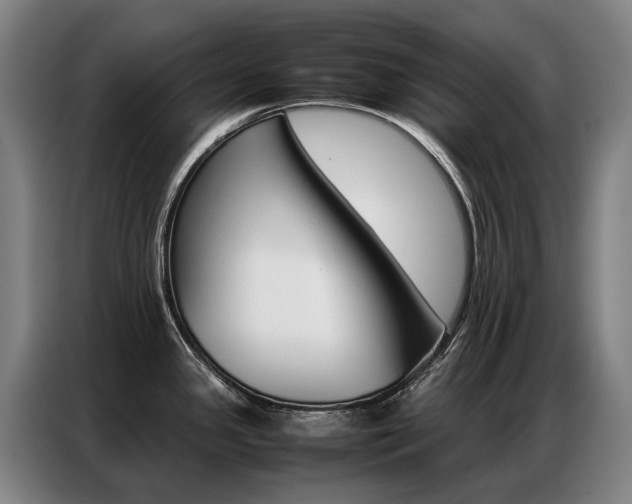 X0000087361341200704200818