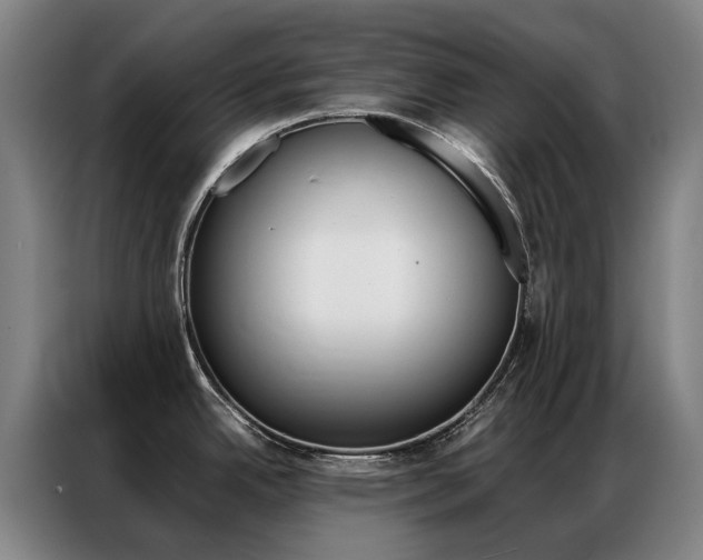 X0000087361342200704200818