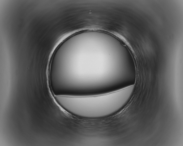 X0000087361343200704200818