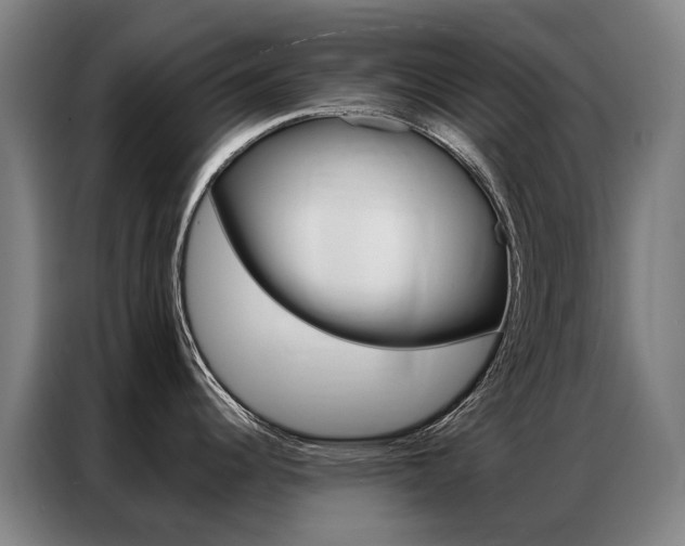 X0000087361344200704200818