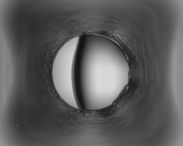 X0000087361345200704200817