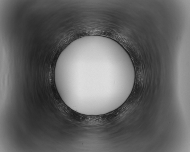 X0000087361346200704200817