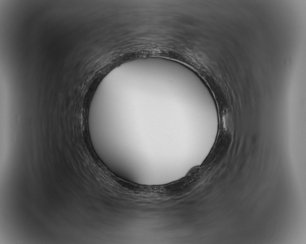 X0000087361347200704200817