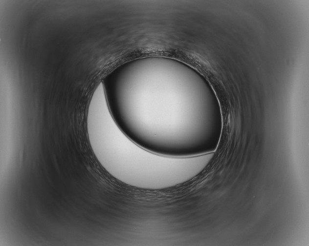 X0000087361348200704200817