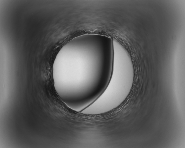X0000087361349200704200817