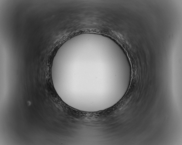 X0000087361350200704200817