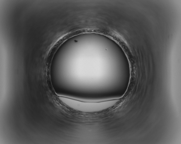 X0000087361352200704200817