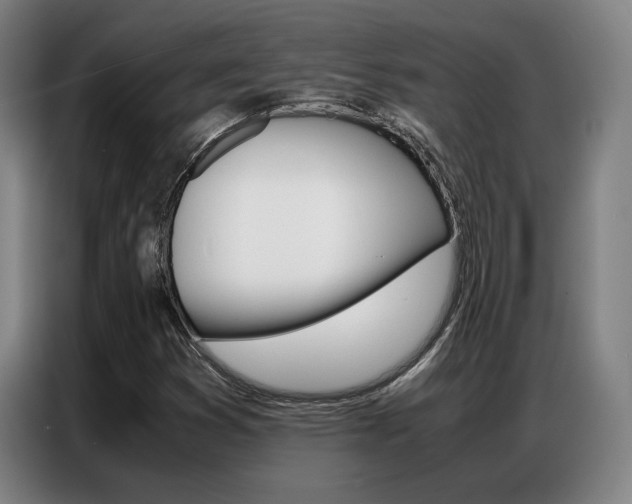 X0000087361353200704200817