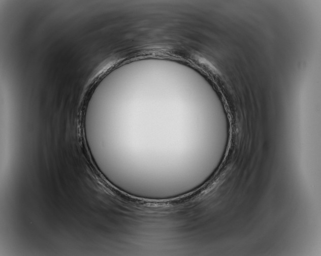 X0000087361354200704200817