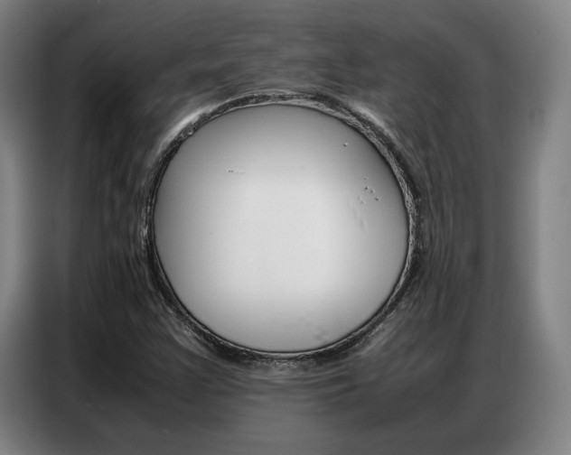 X0000087361355200704200817