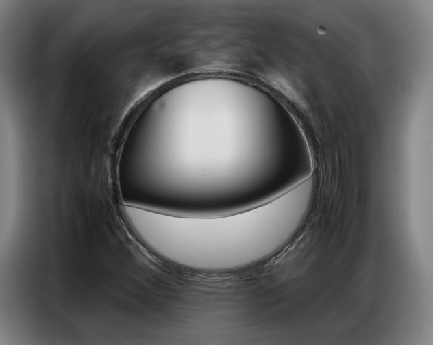 X0000087361356200704200817
