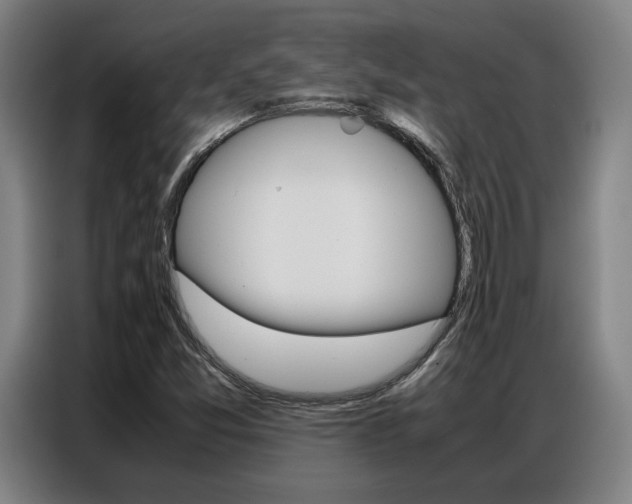 X0000087361357200704200817
