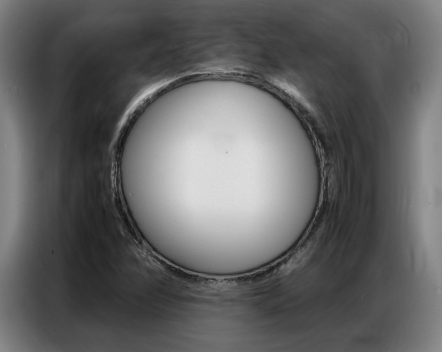 X0000087361358200704200817