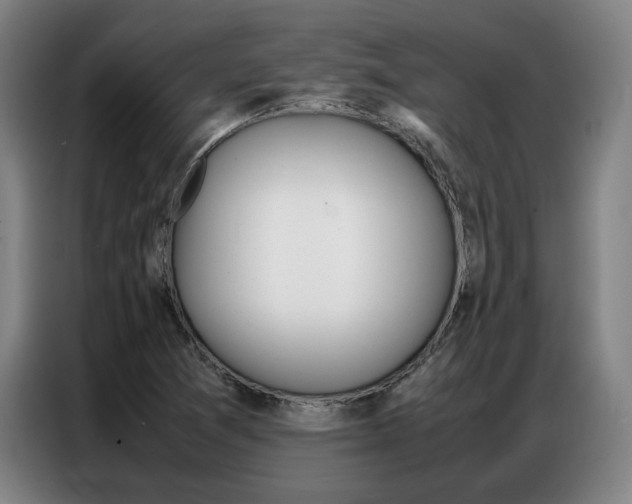 X0000087361361200704200817