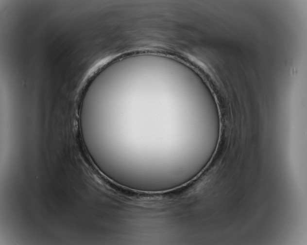 X0000087361363200704200817