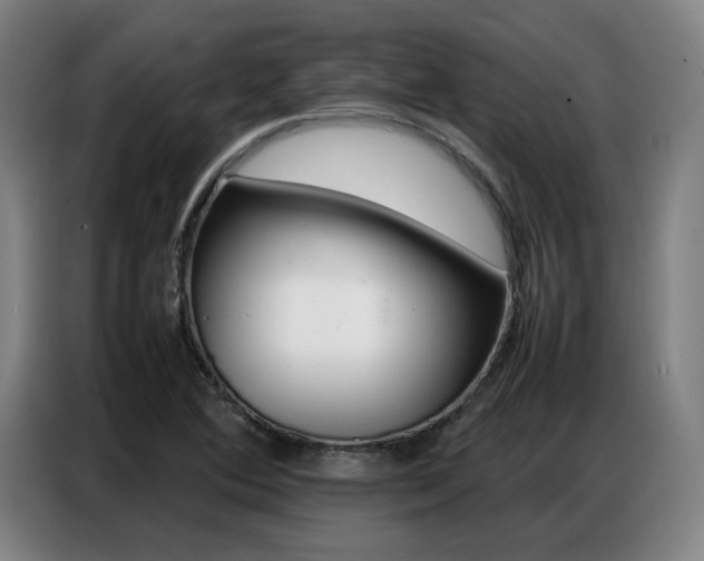 X0000087361364200704200817
