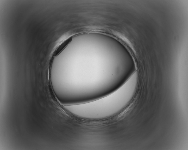 X0000087361365200704200817