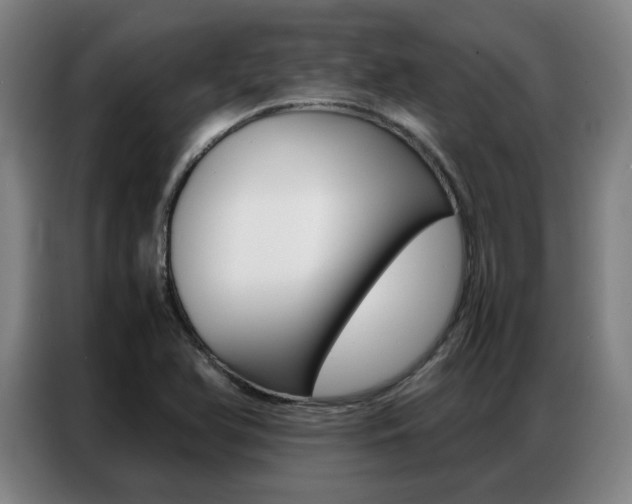 X0000087361366200704200817