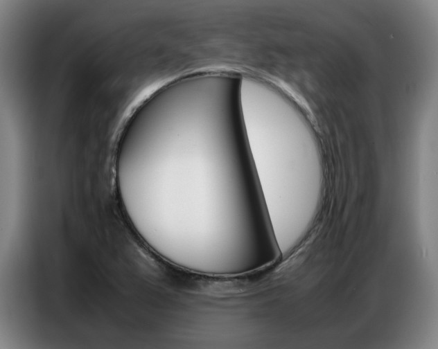 X0000087361367200704200817