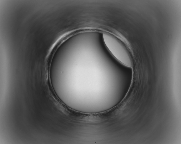 X0000087361368200704200817