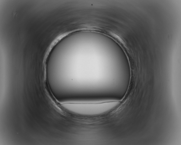 X0000087361371200704200817