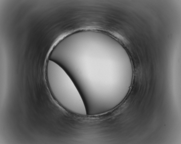 X0000087361374200704200817