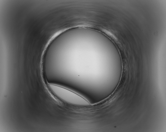 X0000087361375200704200817