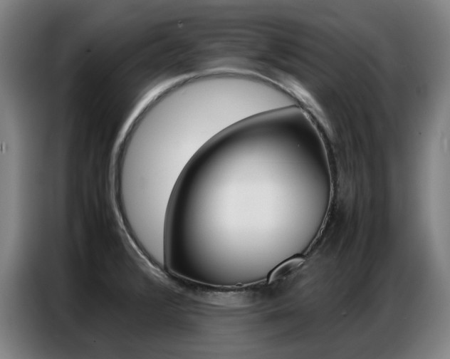 X0000087361376200704200817
