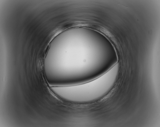 X0000087361377200704200816