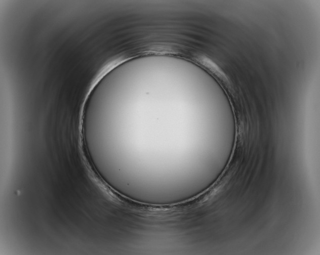 X0000087361378200704200816