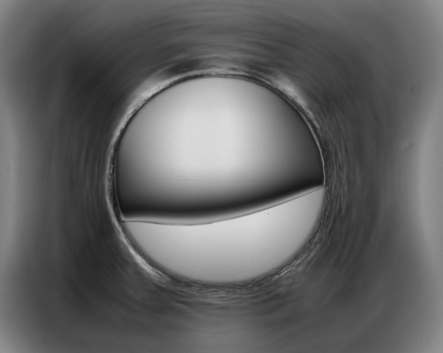 X0000087361379200704200816