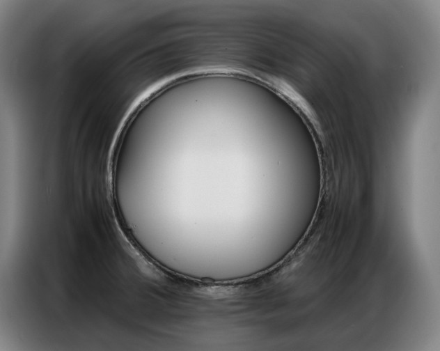 X0000087361380200704200816