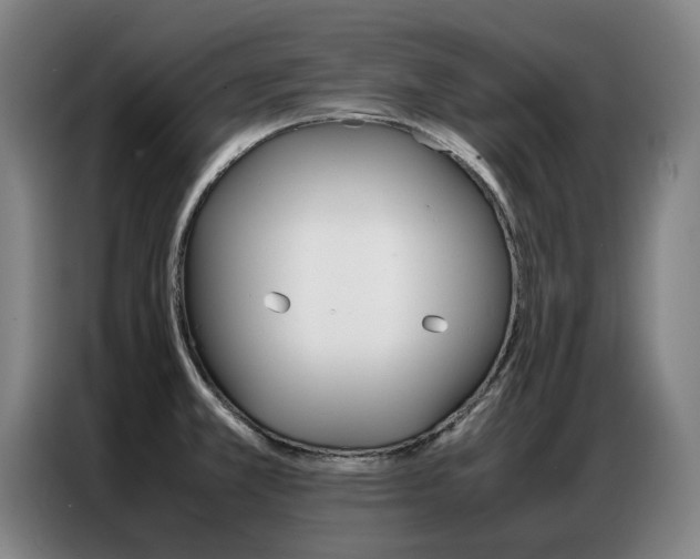 X0000087361381200704200816