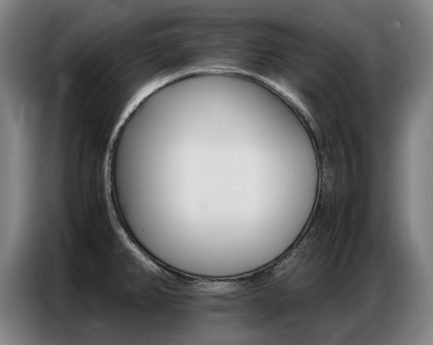 X0000087361382200704200816