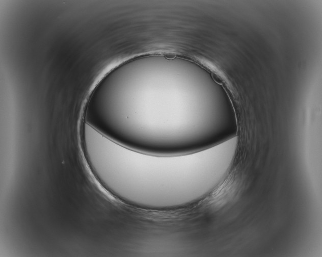 X0000087361383200704200816